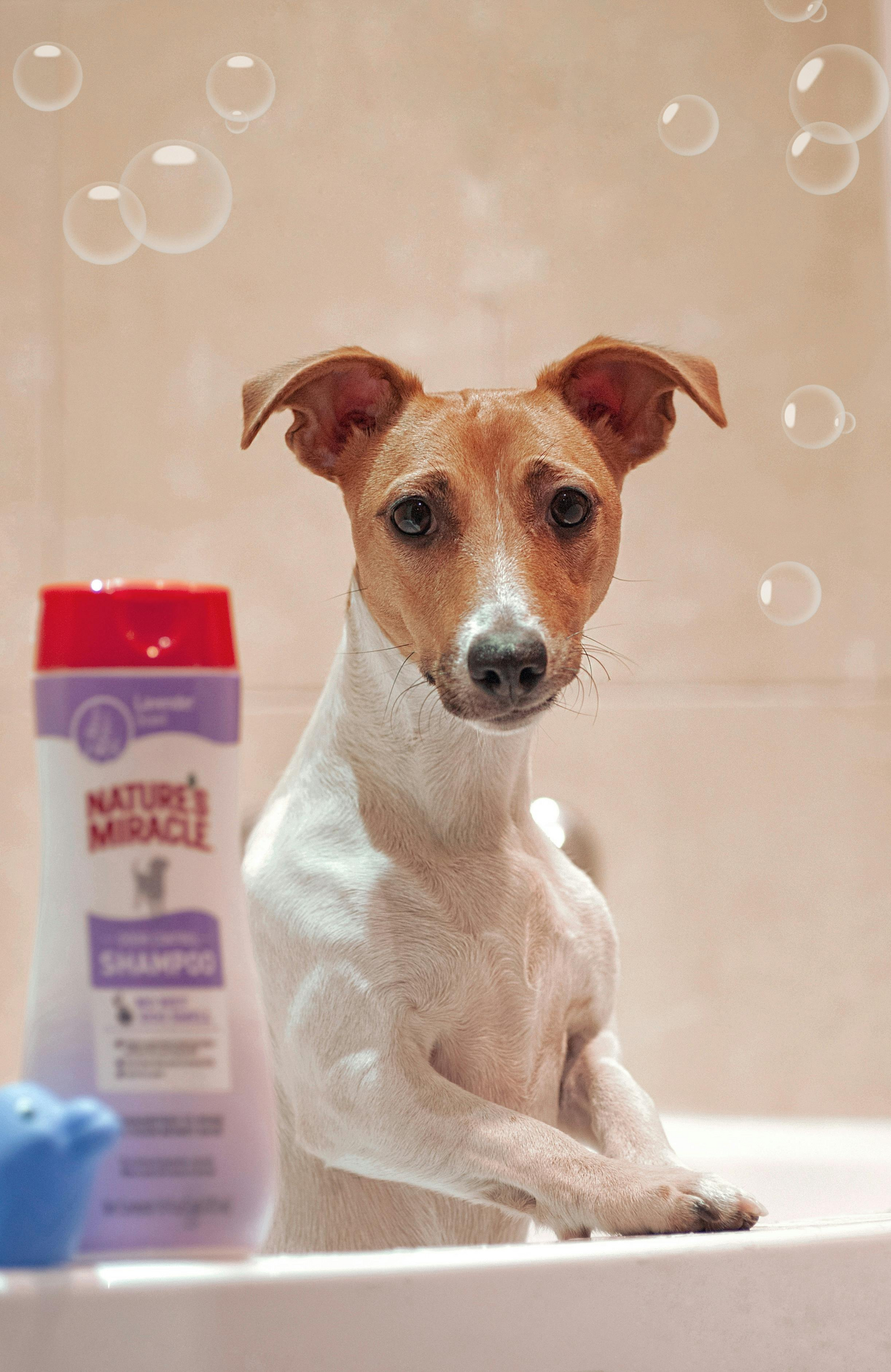 Hygiene and Aftercare