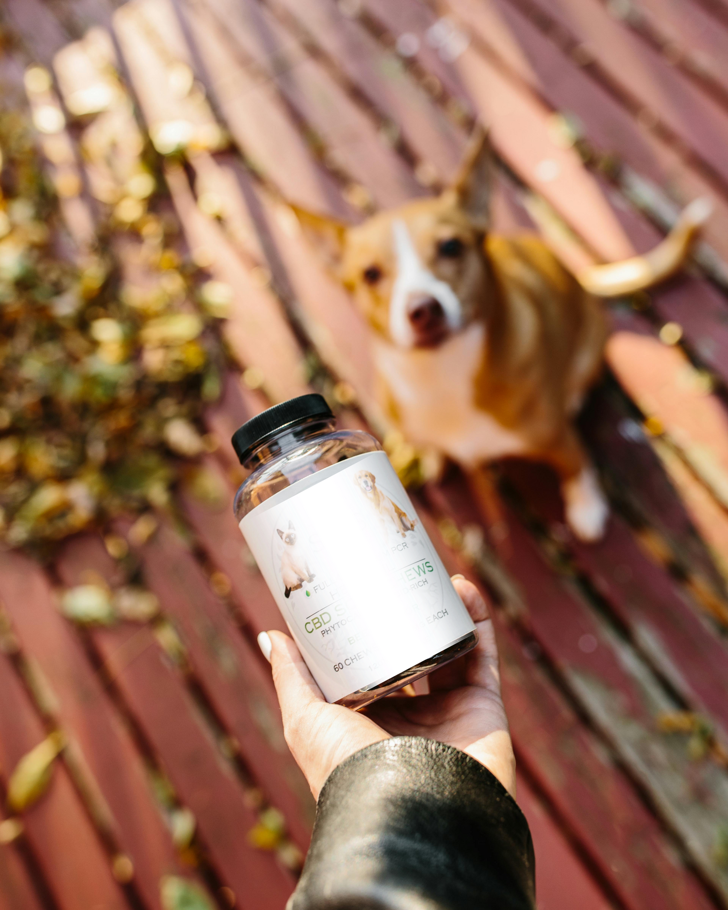 Wellness Supplements