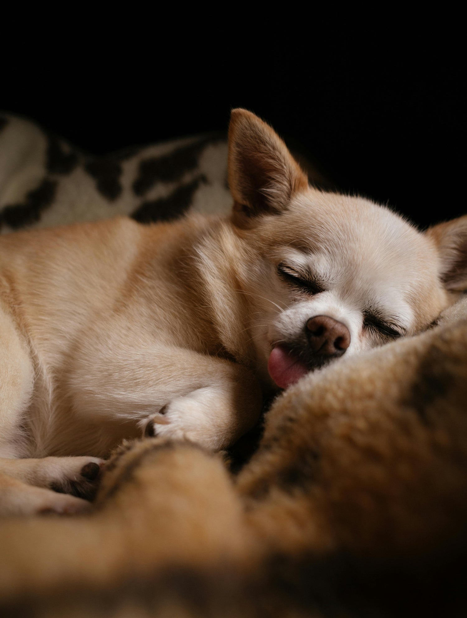 Comfort and Rest