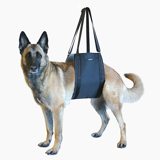 Dog Lift Support and Rehab Harness for Dogs with Weak Rear Legs - We Donate a Harness to a Dog Rescue for Every Harness Sold (Medium, Black)